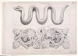 Scaled: Snake and plant design