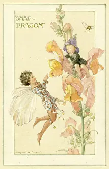 Snapdragon Fairy