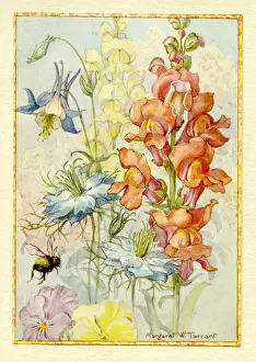 Snapdragons and other flowers