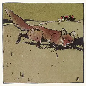 Foes: Sneaky Fox Hiding from Hunting Group