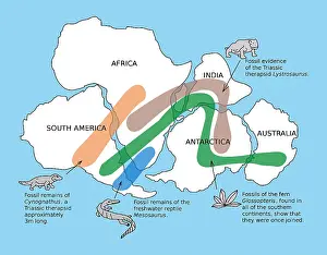 Rejoined: Snider-Pellegrini Wegener Fossil Map
