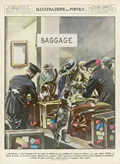 Smuggled: SNIFFER CATS AT CUSTOMS