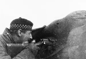 Sniping: Sniping at Bois Grenier 1914