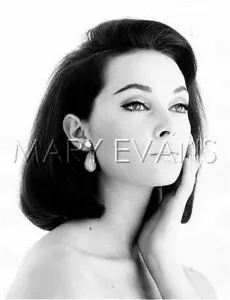 Snooty: SNOOTY MODEL