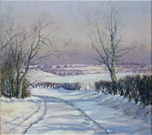 Mervyn: Snow in the Gathering Dusk