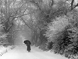 Pangbourne: Snow Scene - Pangbourne