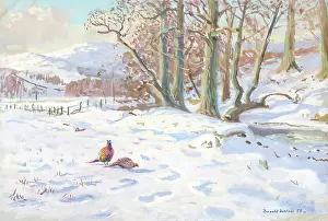Pheasants: Snow scene with pheasants