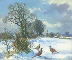 Pheasants: Snow scene with pheasants and church