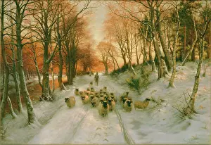 Farquharson: Snow scene with sheep