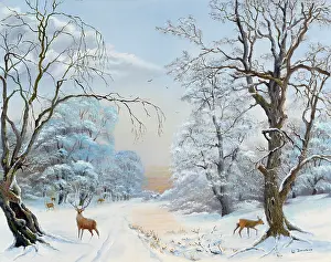 Hinds: Snow Scene with Stag and Hinds