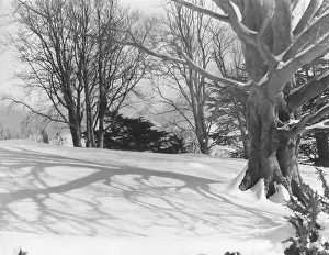 Llanrwst: SNOW SHADOWS