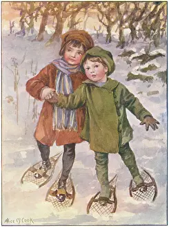 Traverse: Snow shoes