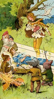 Awakens: Snow White & the Seven Dwarfs