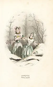 Geoffrois: Snowdrop and cowslip flower fairies