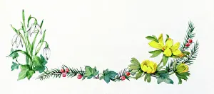 Patience: Snowdrops, Aconites, yew and ivy