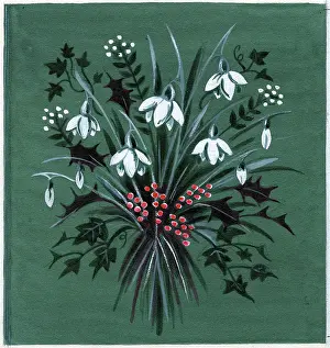 Brough: Snowdrops, holly and ivy