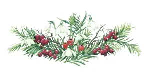 Haws: Snowdrops, yew branches and berries etc