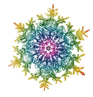 Bentley: Snowflake