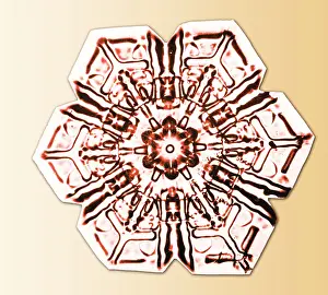 Bentley: Snowflake