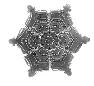 Bentley: Snowflake