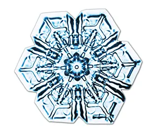 Bentley: Snowflake