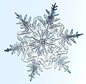 Bentley: Snowflake