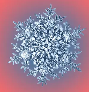Bentley: Snowflake