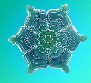 Bentley: Snowflake