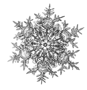 Bentley: Snowflake