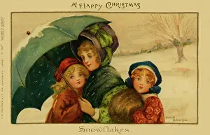 Snowflakes: Snowflakes