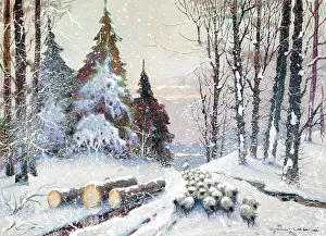Snowscape: Snowscape with sheep