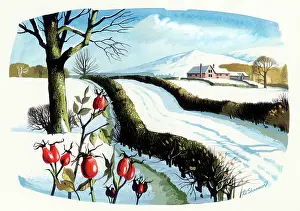 Snowscenes: Snowscene