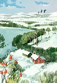Shannon: Snowscene