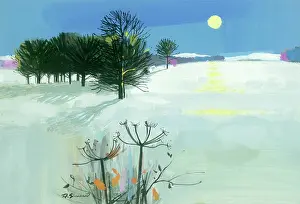 Shannon: Snowscene