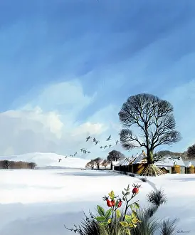 Shannon: Snowscene in the countryside