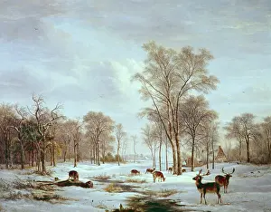 Theodorus: Snowscene with Deer