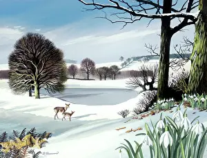 Shannon: Snowscene with Deer and Fawn