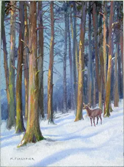 Snowscene: Snowscene with deer in forest