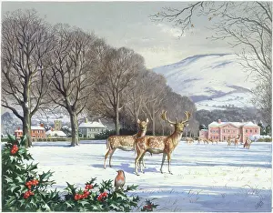 Snowscene: Snowscene with deer in park