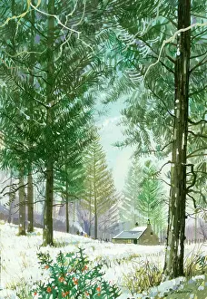 Woodman: Snowscene with Fir Trees