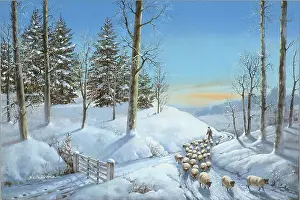 Snowscene: Snowscene with flock of sheep