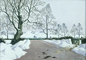 Tristram: Snowscene with Road