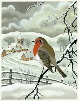 Snowscene: Snowscene with Robin on a branch