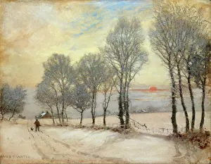 Snowscene: Snowscene with setting sun