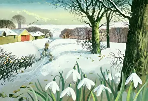 Shannon: Snowscene with Snowdrops in Foreground
