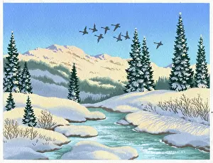 Snowscene: Snowscene with stream, fir trees and geese