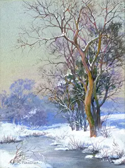 Snowscene: Snowscene with trees by a river