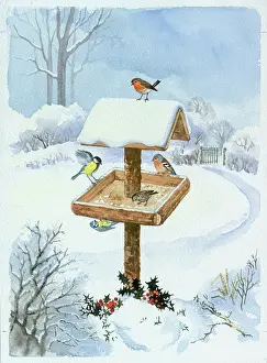Finches: Snowy Bird table ? with robin, tits etc
