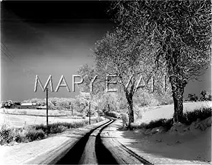 Counrty: SNOWY COUNRTY LANE