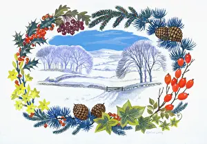 Caley: Snowy landscape in a border